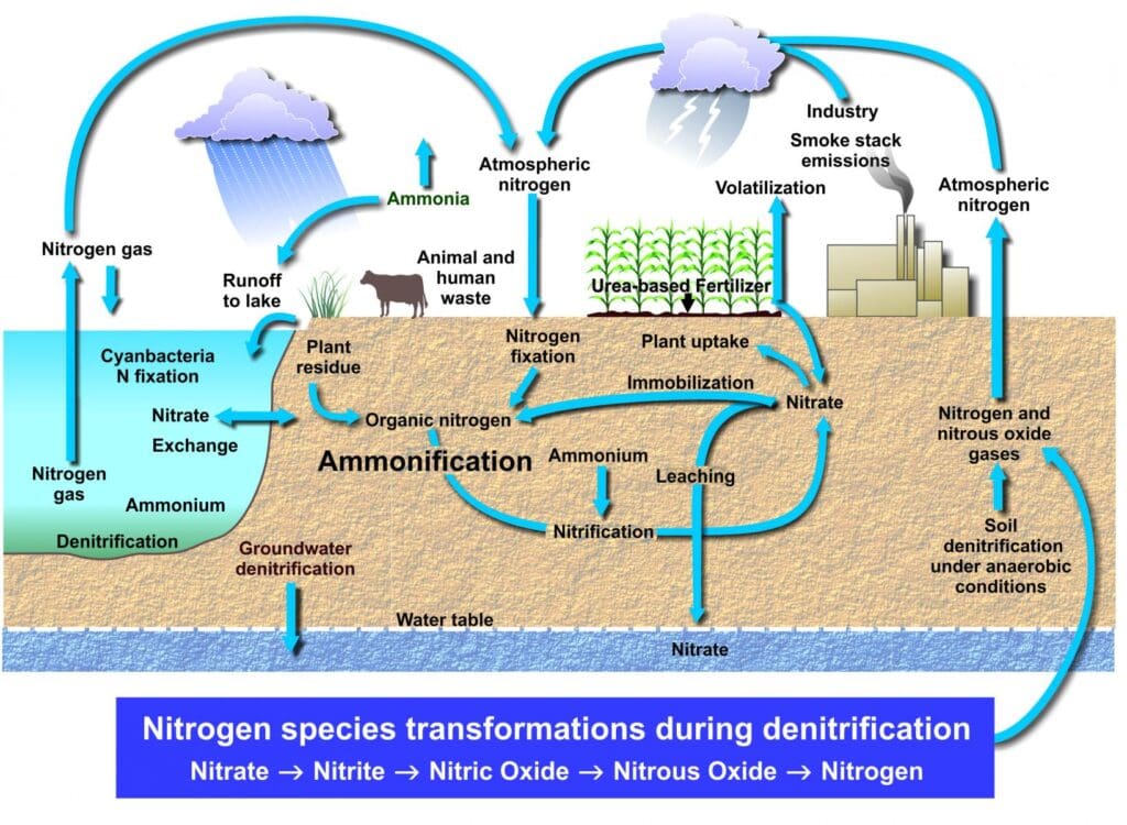 Electrolysis Nitrogen Removing System 순수 물 필터 전해질 기술 Công Nghệ Điện Phân Lọc Nước Tinh Khiết
