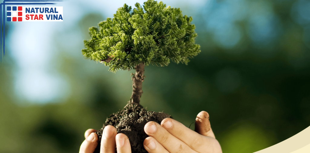 Environmental Protection Plan 환경보호계획