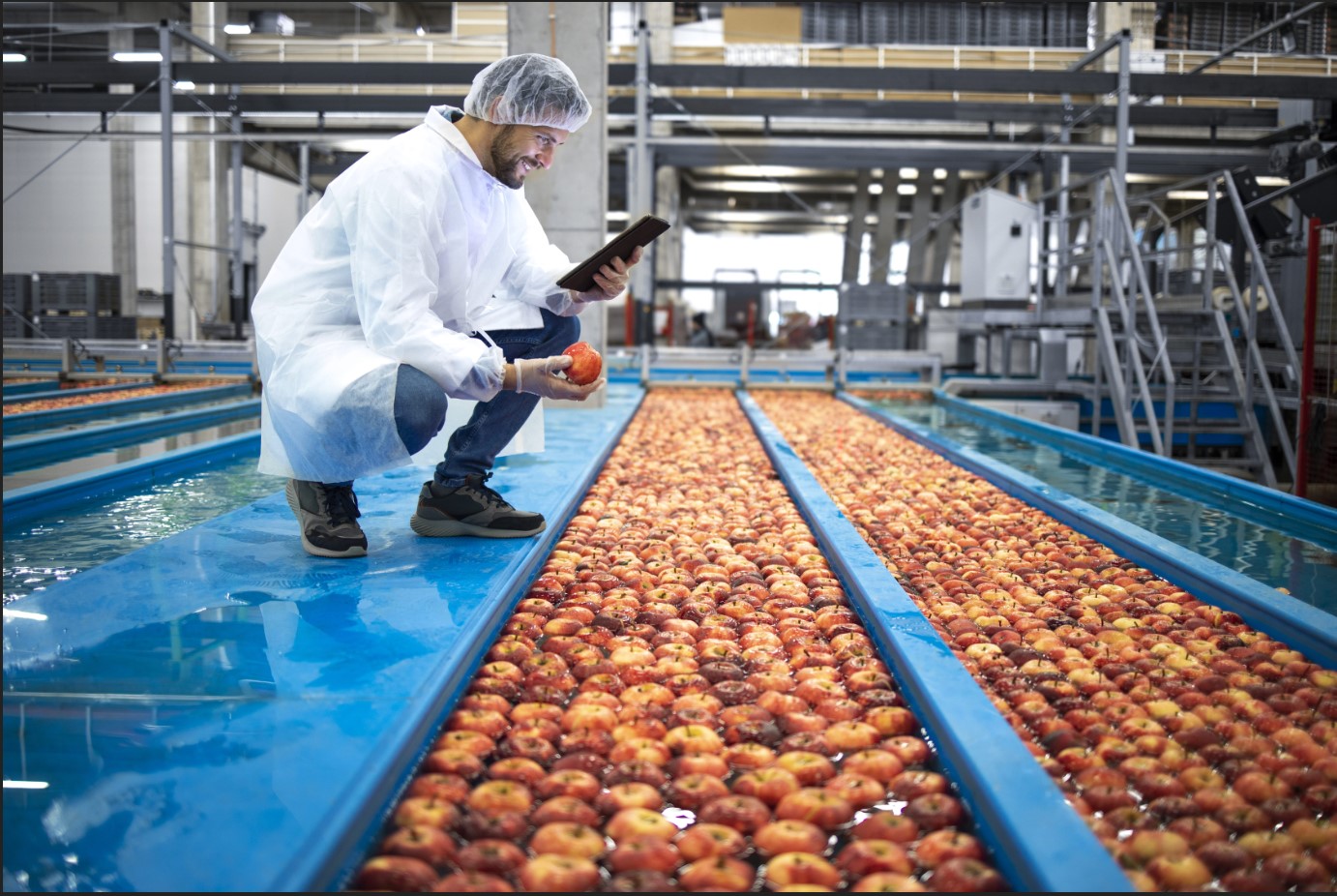 food industry wastewater treatment system he thong xu ly nuoc thai thuc pham 식품 산업 폐수 처리 시스템