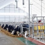 Livestock Wastewater Treatment System livestock wastewater treatment system hệ thống xử lý nước thải chăn nuôi 축산 폐수 처리 시스템